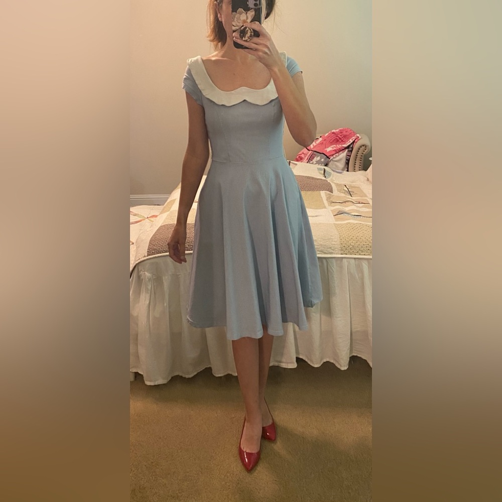 Unique Vintage Blue Gingham Dress